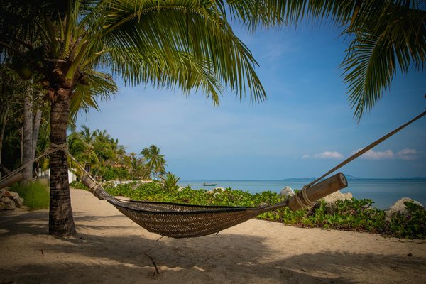 What are the top pet-friendly vacation rentals in the UK?